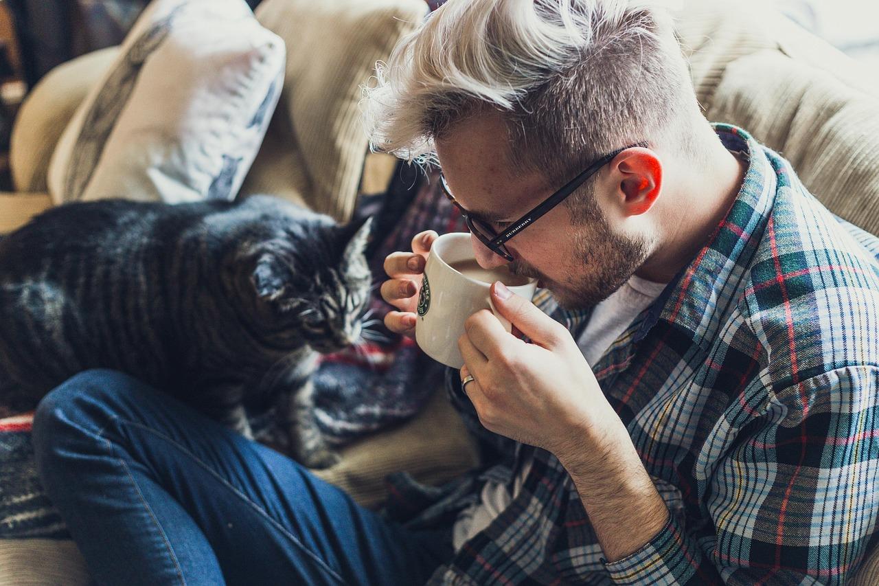 The Best Cat Breeds for Families in the UAE